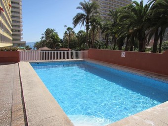 Apartamentos Alta, Puerto de la Cruz (Tenerife) - Atrapalo.com