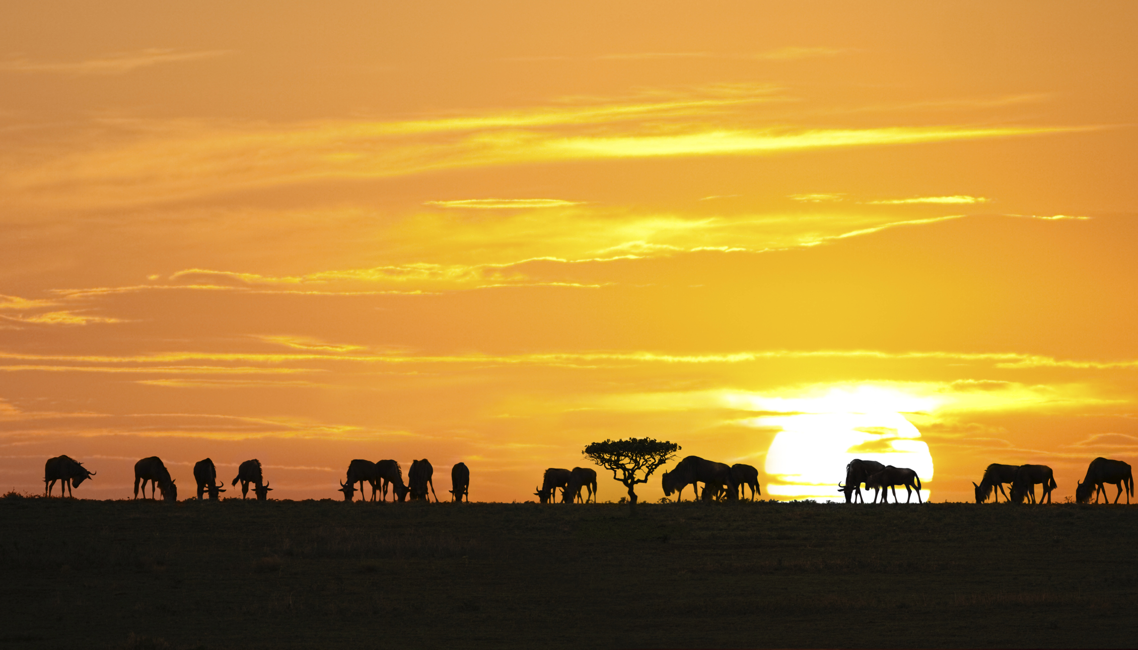 Tanzania_atardecer - Houdinis